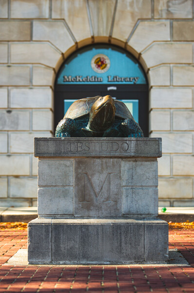 statue of Testudo on Mall